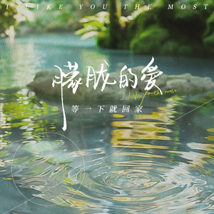 富婆桃子香港无码
