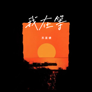 富婆桃子香港无码
