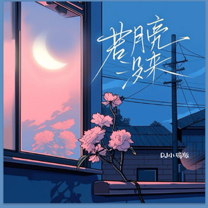 富婆桃子香港无码
